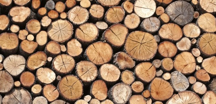 humedad madera, Monitorización y control de la humedad en la madera