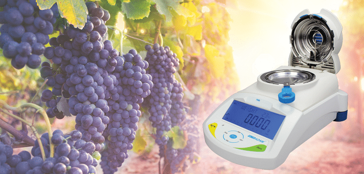producción de vino, Maximizar el rendimiento de la uva en la producción de vino